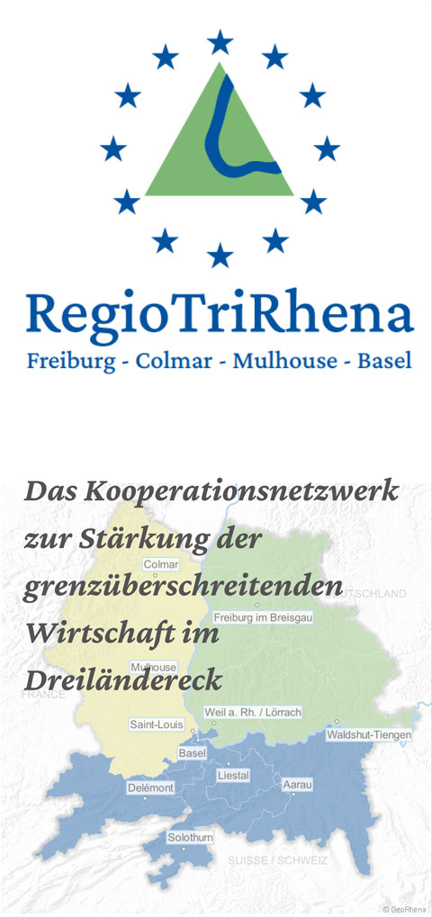Flyer RegiotriRhena DE
